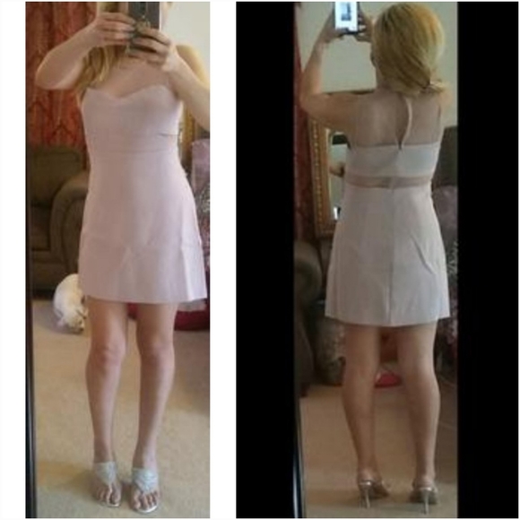 Urban Outfitters Dresses Nwt Express Mesh Panel Mini Dress Poshmark